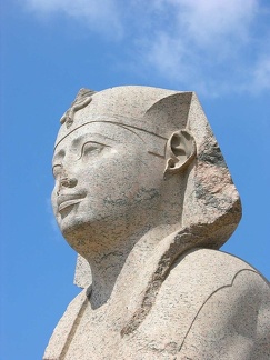 Sphinx.