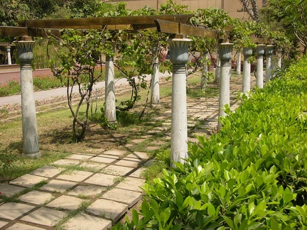 Garden of the Agricultural Museum 