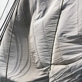 Voile