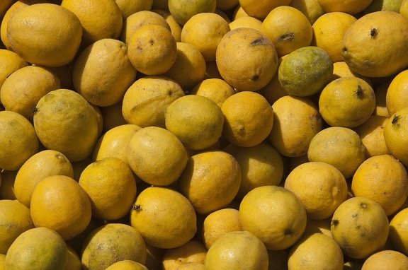 Citrons