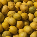 Lemons 