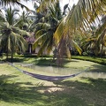 Garden of the hotel Aquaserena (Kollam, Kerala, India)  