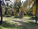 Garden of the hotel Aquaserena (Kollam, Kerala, India)  