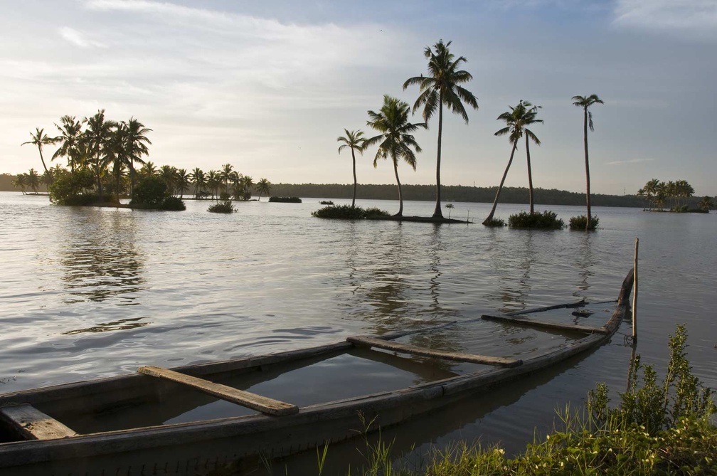 Backwaters (Kérala) 