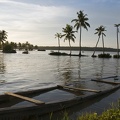   Backwaters (Kerala) 
