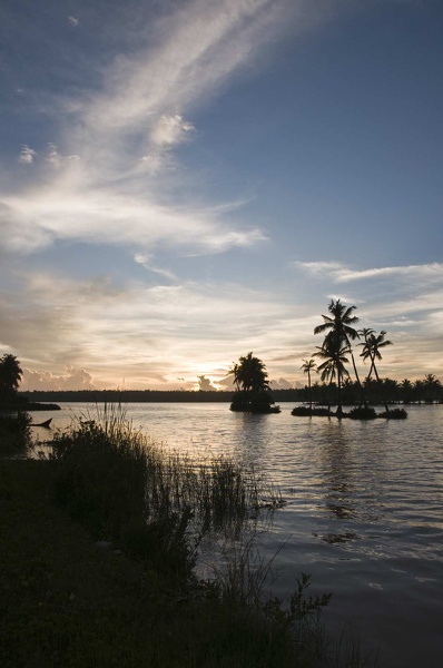 Backwaters (Kérala) 