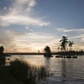   Backwaters (Kerala) 