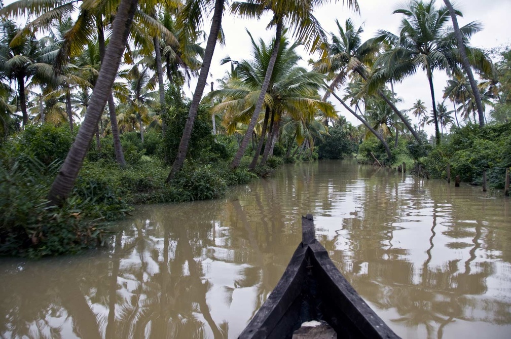   Backwaters (Kerala) 