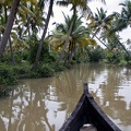   Backwaters (Kerala) 