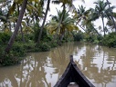 Backwaters (Kérala) 