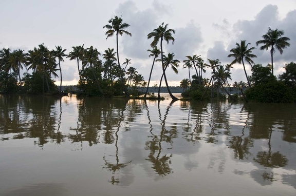   Backwaters (Kerala) 