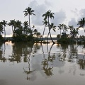 Backwaters (Kérala) 