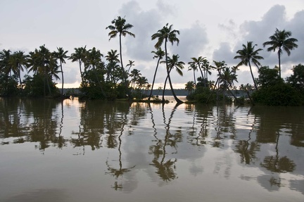 Backwaters (Kérala) 