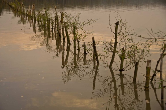   Backwaters (Kerala) 