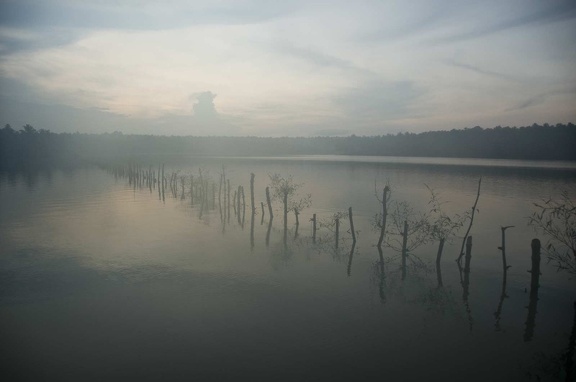   Backwaters (Kerala) 