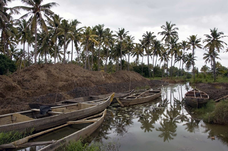 Backwaters (Kérala) 