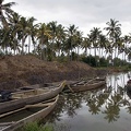 Backwaters (Kérala) 