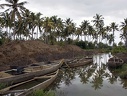 Backwaters (Kérala) 