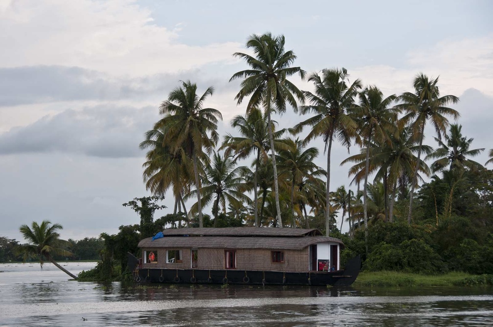   Backwaters (Kerala) 