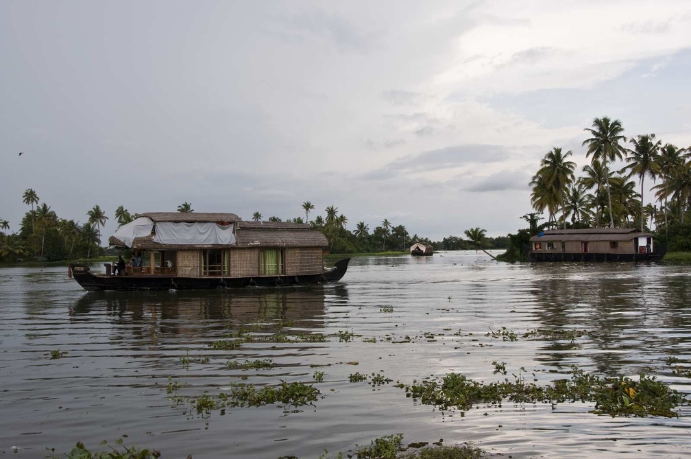   Backwaters (Kerala) 