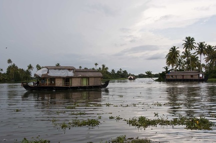 Backwaters (Kérala) 