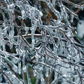  Stalactite de glace