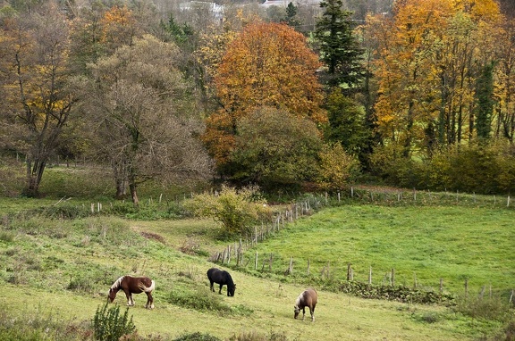 Landscape in the Chartreuse Mountains 