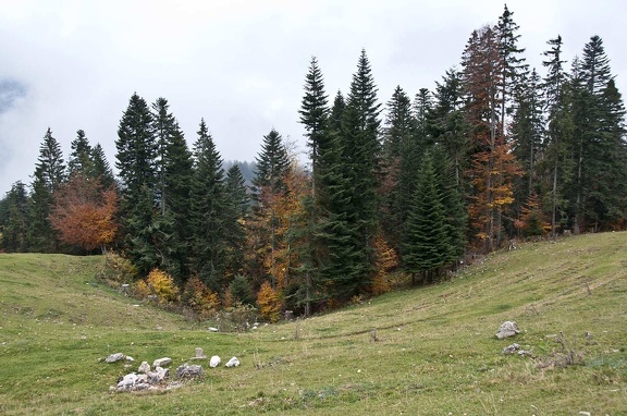 Landscape in the Chartreuse Mountains 