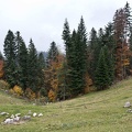 Landscape in the Chartreuse Mountains 