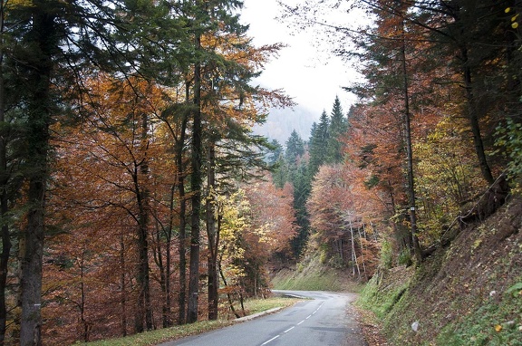 Landscape in the Chartreuse Mountains 