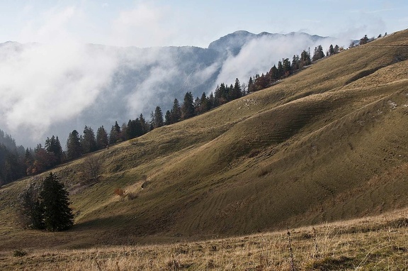 Chartreuse Mountains 