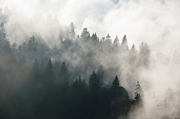 Massif de la Chartreuse