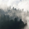 Chartreuse Mountains 