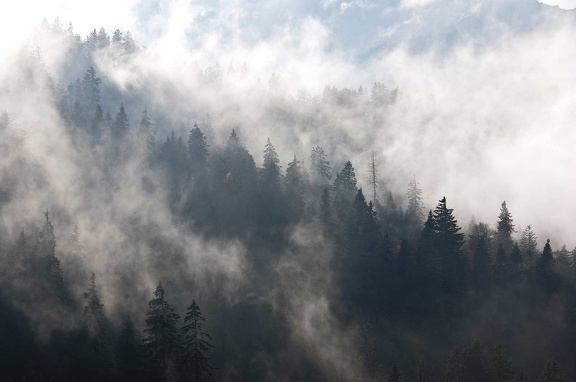 Chartreuse Mountains 