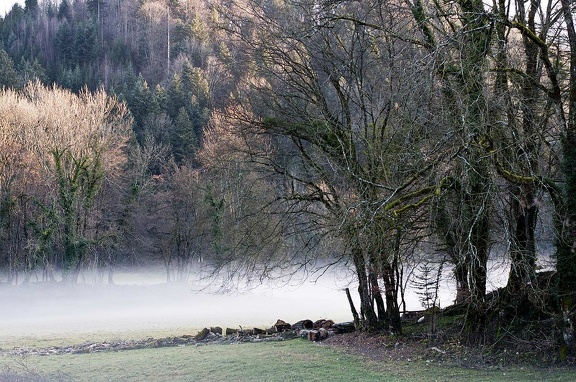 Landscape in the Chartreuse Mountains 