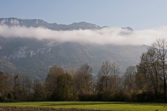 Niebla de la mañana 