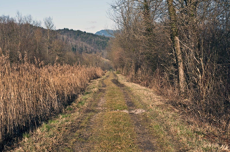 Chemin de campagne