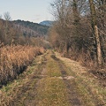 Country road  