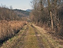 Camino rural