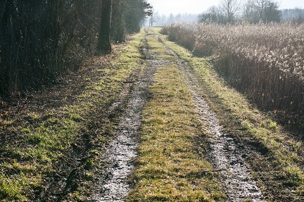 Chemin le long du Guiers mort. Saint-Laurent du Pont (Isère)