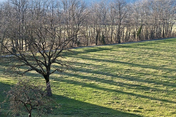 Landscape in the Chartreuse Mountains 