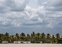 Backwaters (Kérala) 