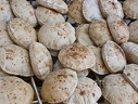 Traditional egyptian bread 