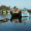 Abukir fishing port 