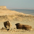 The desert, near Kasr el Sagha 