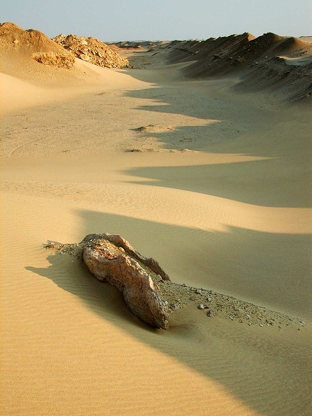 The desert, near Kasr el Sagha 