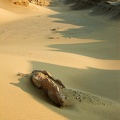 The desert, near Kasr el Sagha 