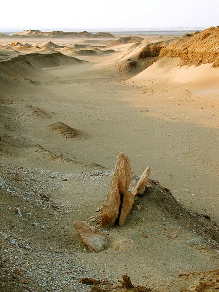 The desert, near Kasr el Sagha 