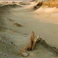 The desert, near Kasr el Sagha 