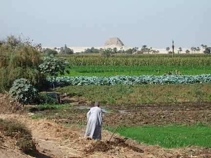 Site de el-Lahoun